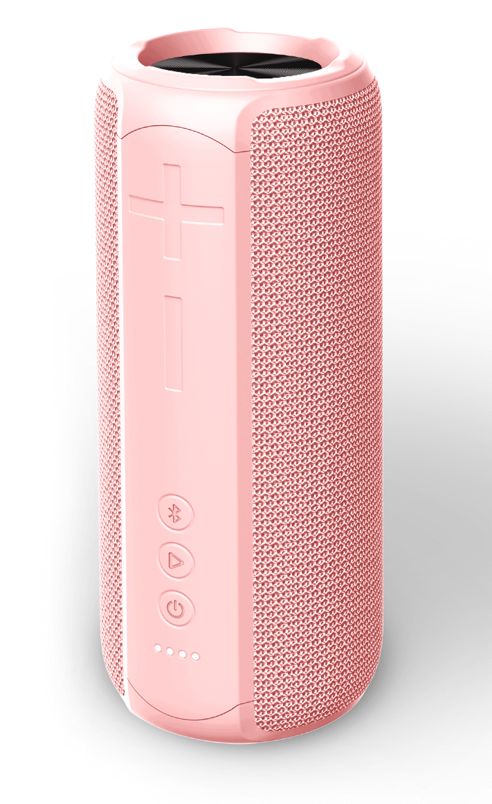 Portable mobile speaker